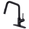 Sly Single Many Made Mequer sacado del rociador Down Tack Fregadero de la cocina del grifo 