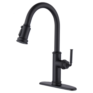 Sly Kitchen Frunter Sprayer Mango individual