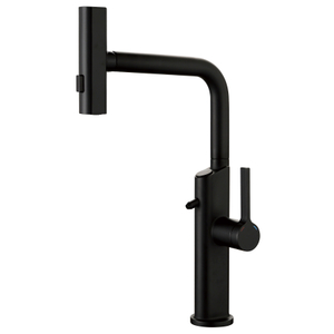 Ardilla moderna moderna metal negro fregadero de agua fría caliente grifo pullado pulverero grifo de agua purificada grifo de agua purificada 