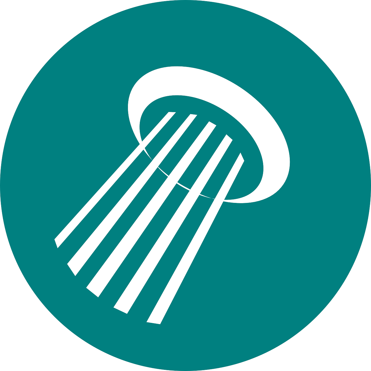 sistema de ducha de n&iacute;quel pulido