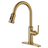 Sly Kitchen Frunter Sprayer Mango individual