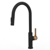 Grifo de fregadero cromado astuto con rociador de la pared de la pared extrajo grifo de cocina