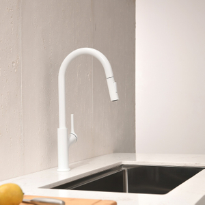 Grifo de fregadero cromado astuto con rociador de la pared de la pared extrajo grifo de cocina