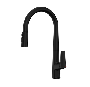 Fábrica de fábrica sly al por mayor rociador cromado filtr fíncipe sacado del grifo del grifo del grifo del grifo de la cocina grifo